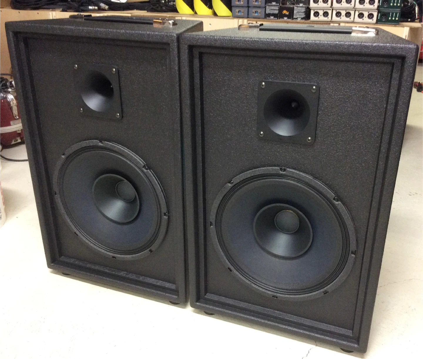 12” x 2 way passive speaker - photo 4