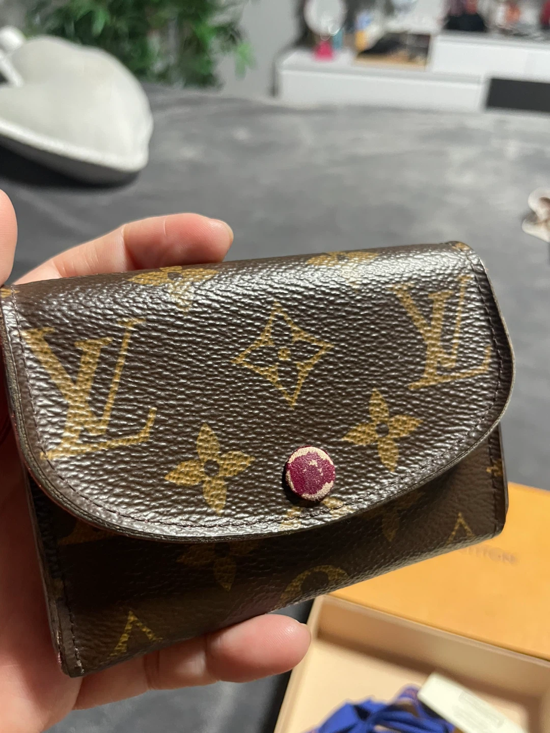 Louis Vuitton Monogram Small Wallet/Card Holder
