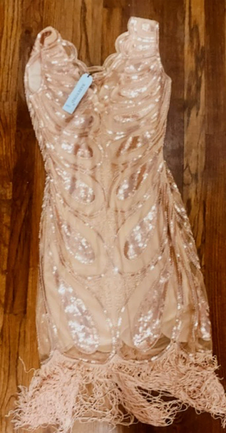 Sparkly Sequin Fringe Dress