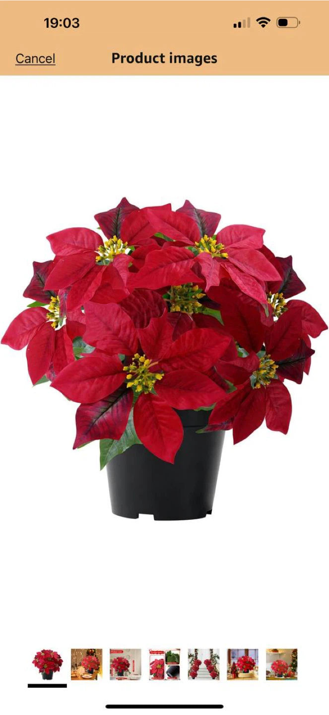 ZYZEV 14” Artificial Poinsettia Plant – Hot Red – NEW 🎄🌺 - photo 3