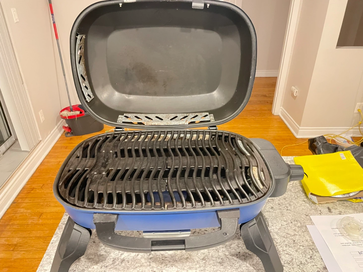 Napoleon Travel Q Portable Propane Grill - Blue - photo 2