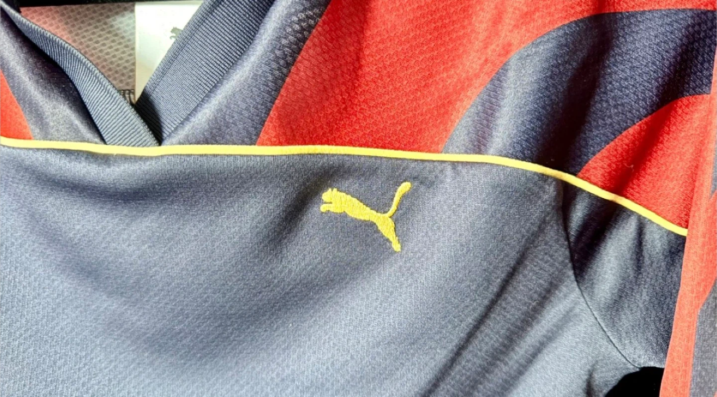 Puma ROAD TO UNITY FOOTBALL LONG SLEEVE TEE - photo 3