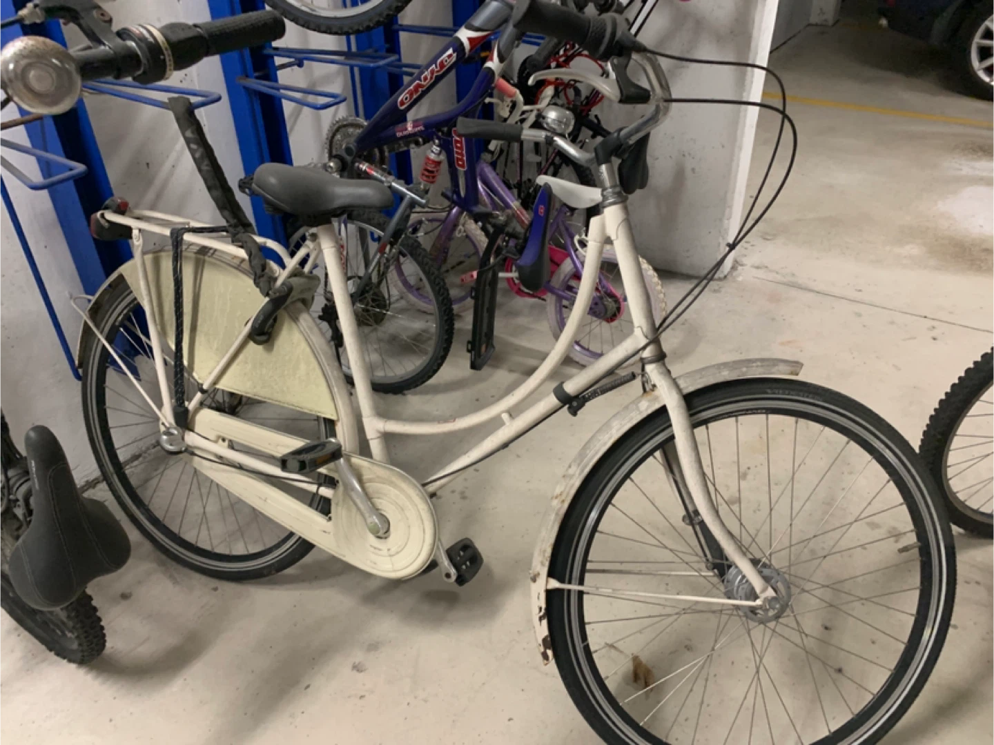 DUTCH OMA fiets -  Bicycle leisure Dutch style - photo 4
