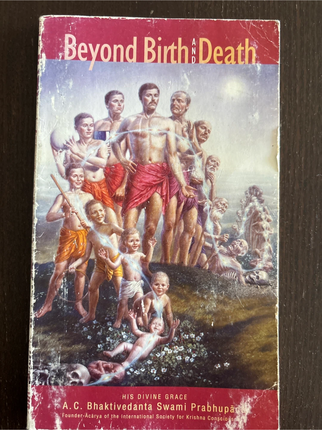 Beyond Birth and Death Book