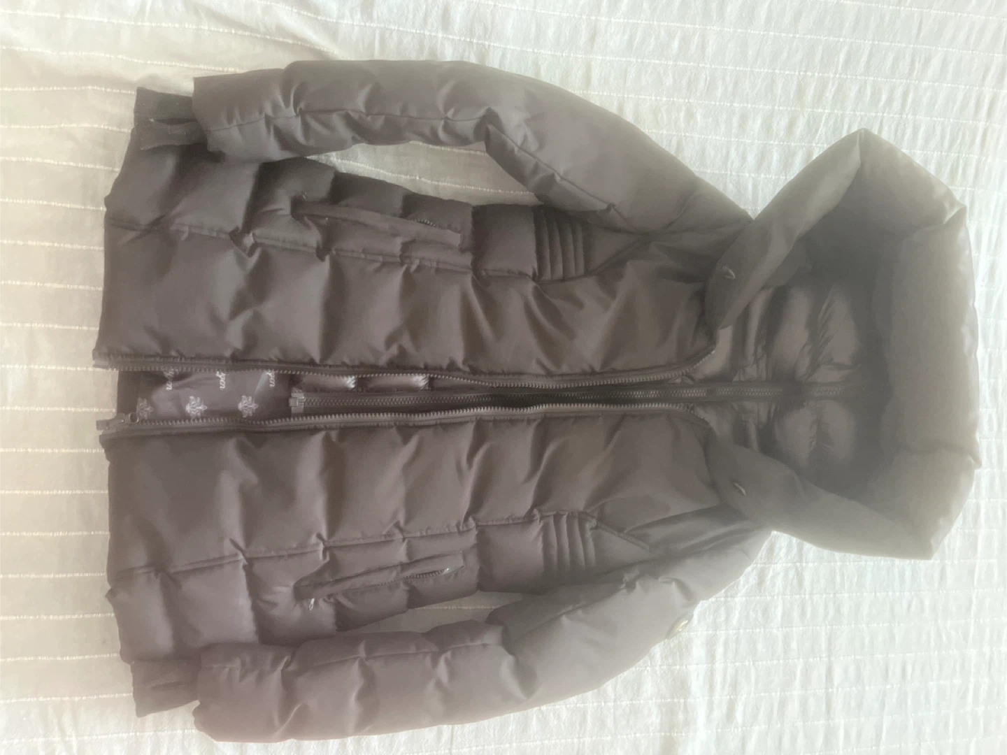 Oxygen Puffer Jacket with Hood