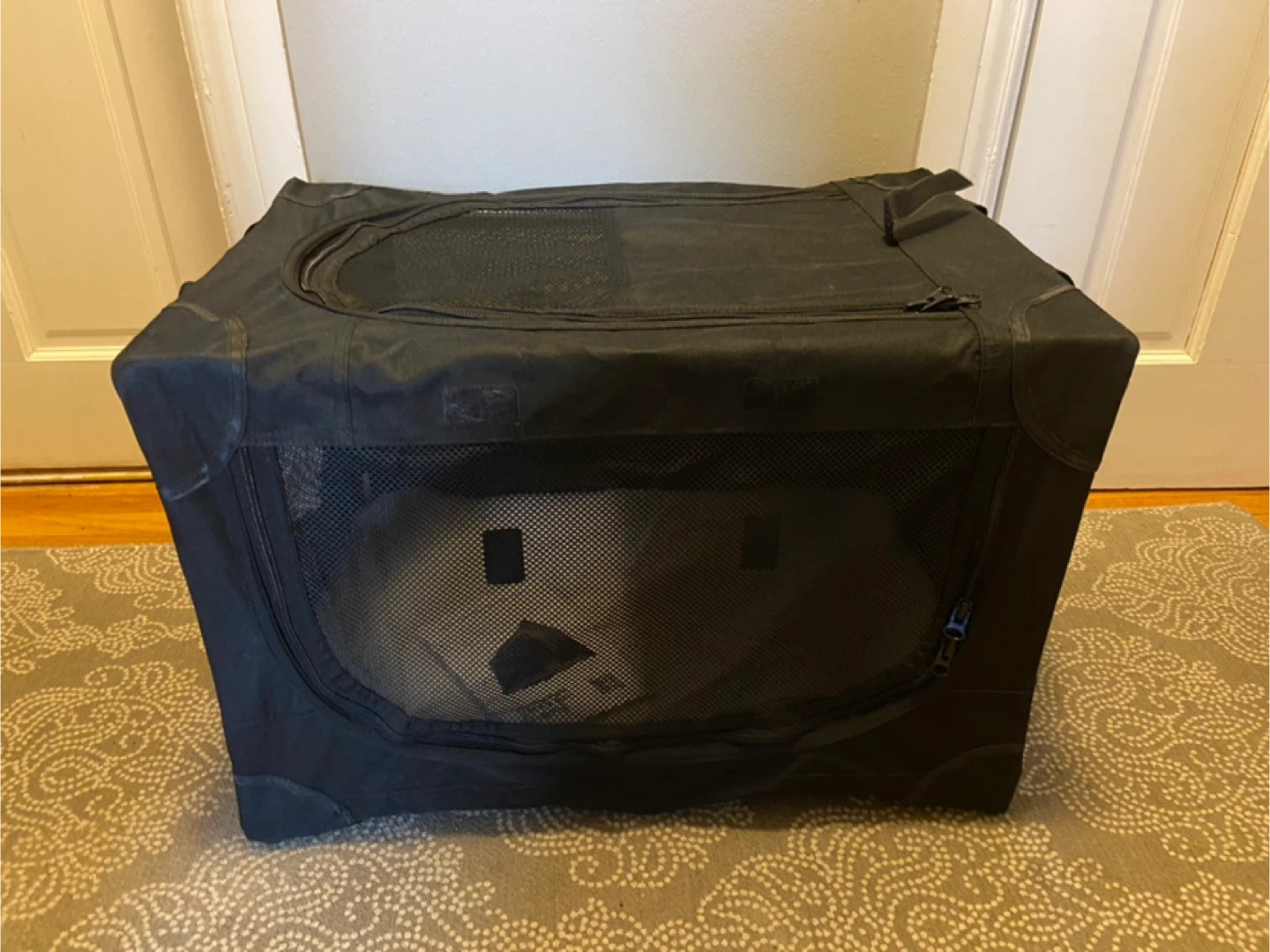 New 24 Inch Collapsible Travel Dog / Pet Crate - photo 5