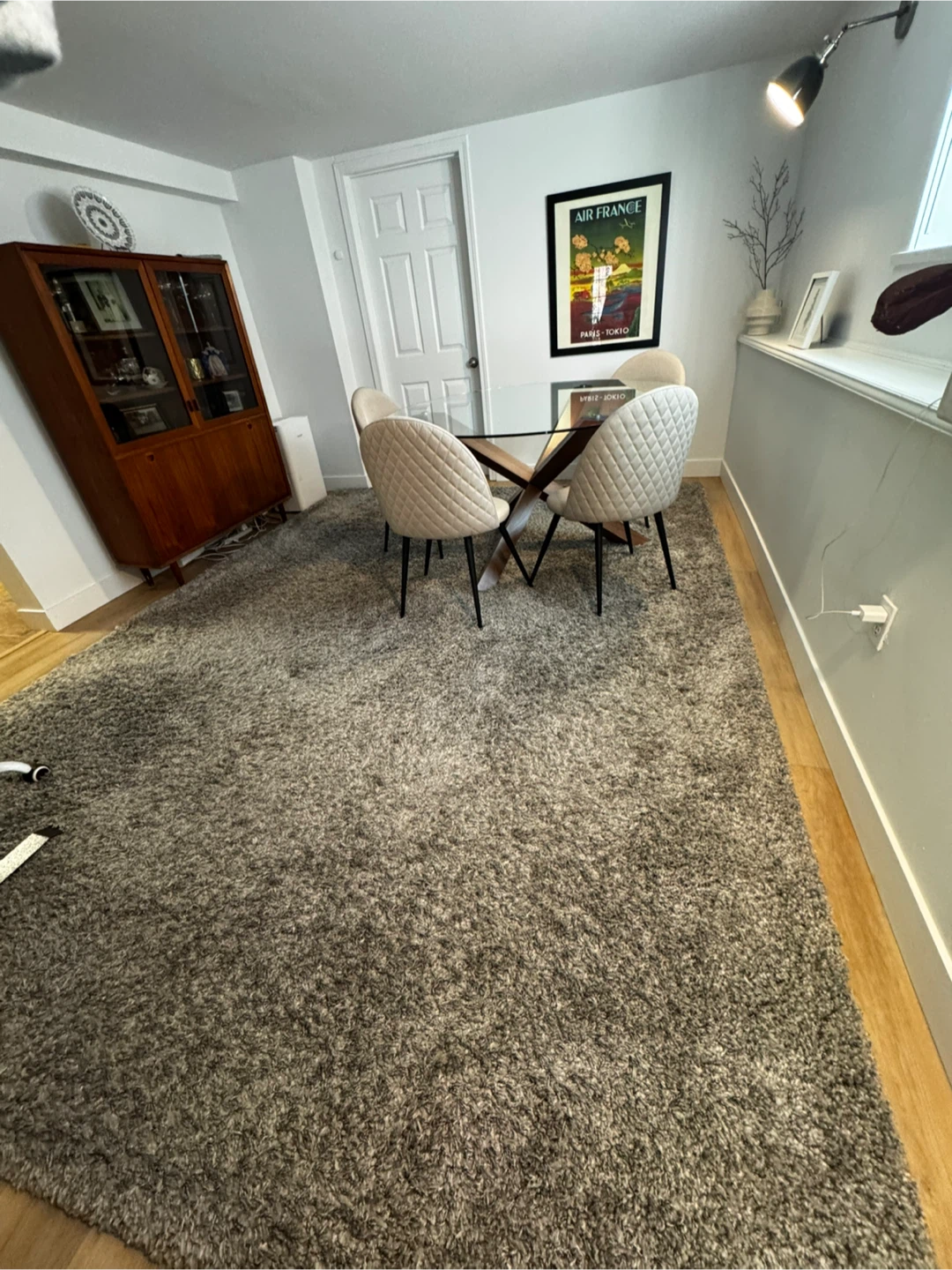 Grey Shaggy Area Rug