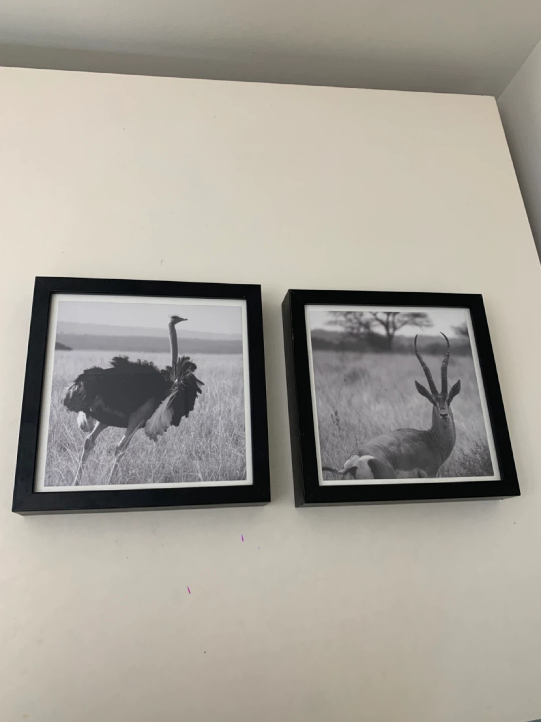 Wall Art - Black Picture Frames (23x23 cm) - Home Decor - photo 2