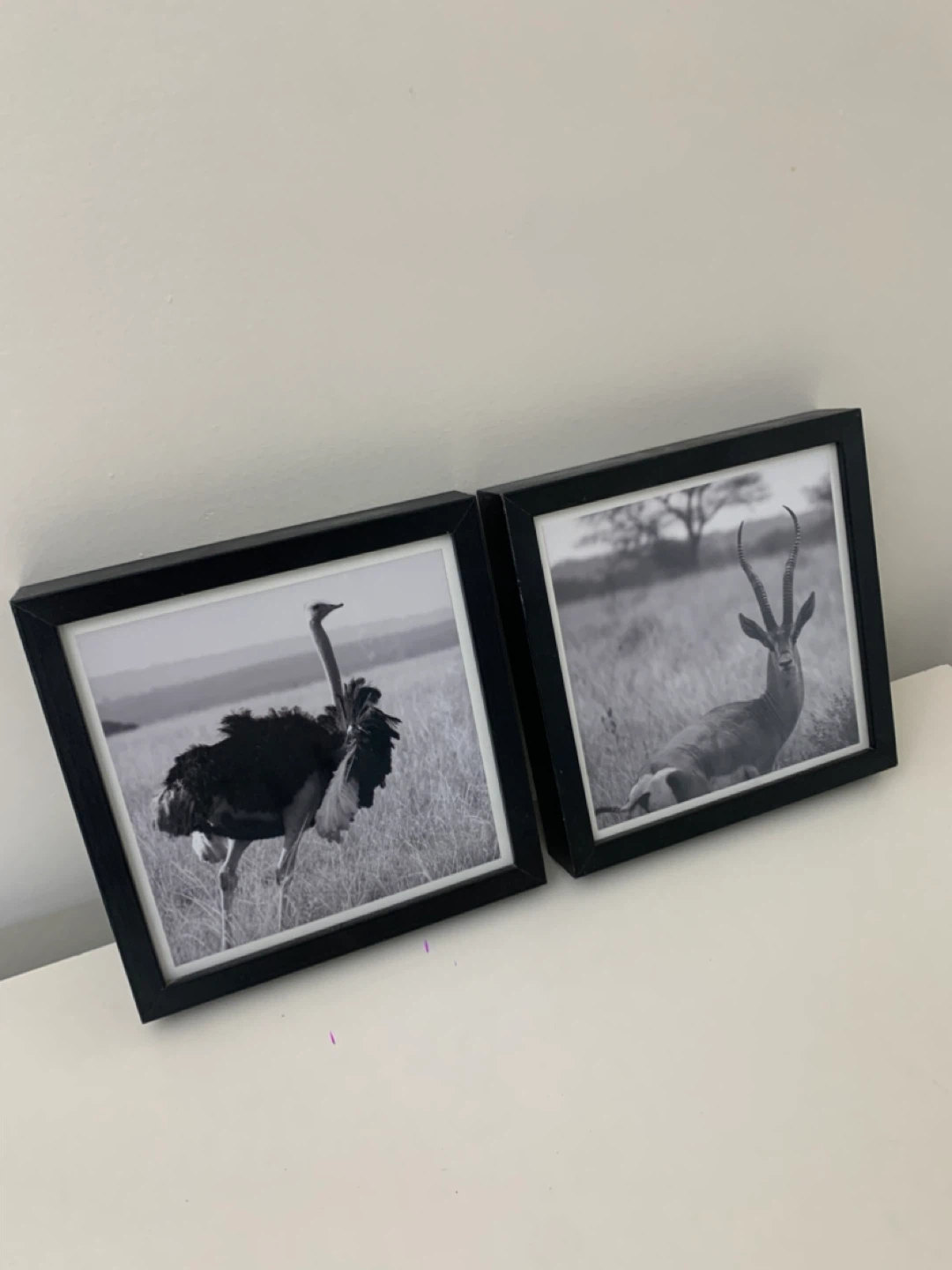 Wall Art - Black Picture Frames (23x23 cm) - Home Decor - photo 3