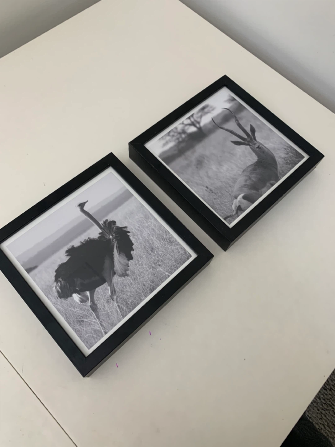 Wall Art - Black Picture Frames (23x23 cm) - Home Decor