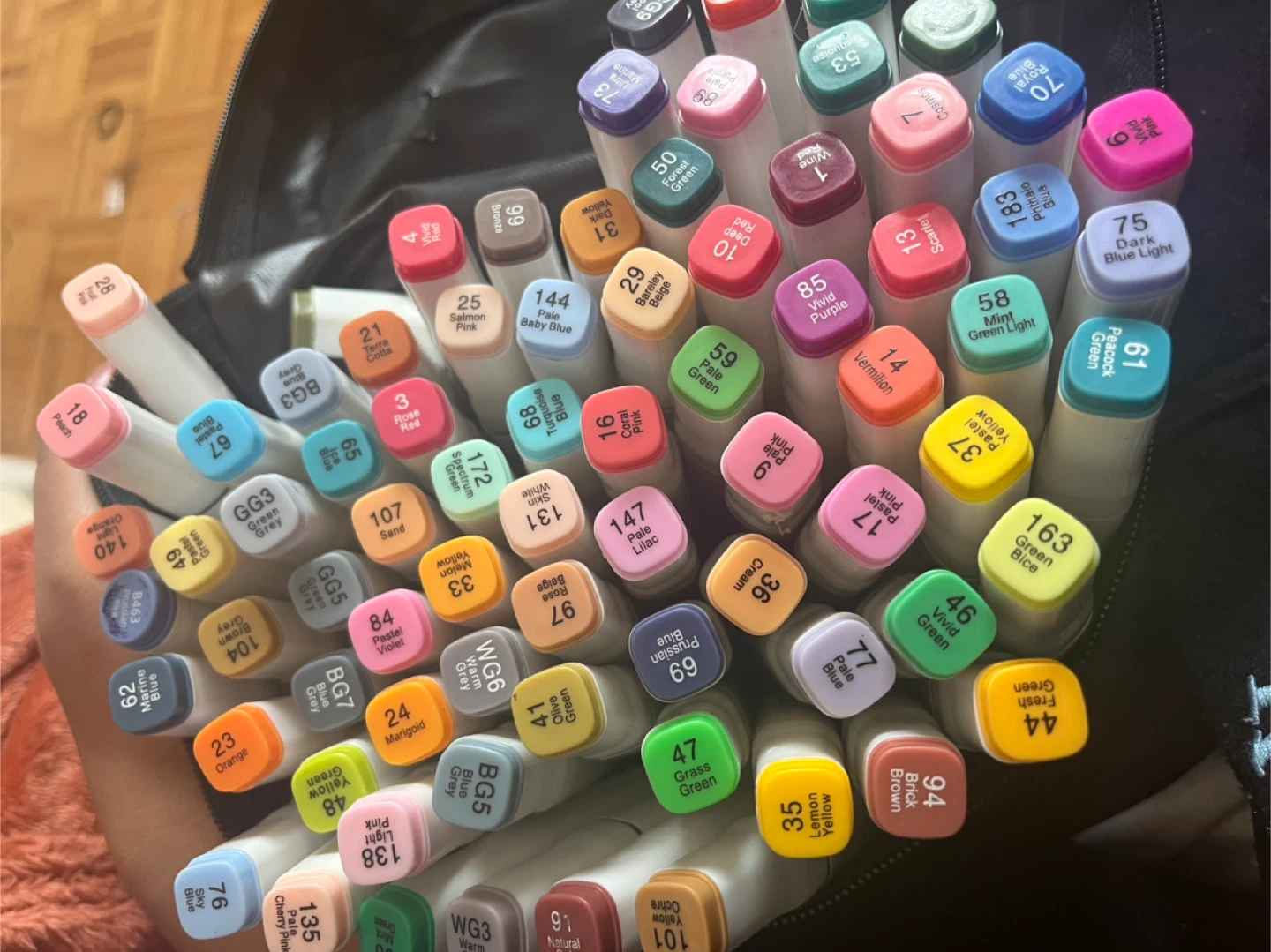 80 Piece Marker Set with Case