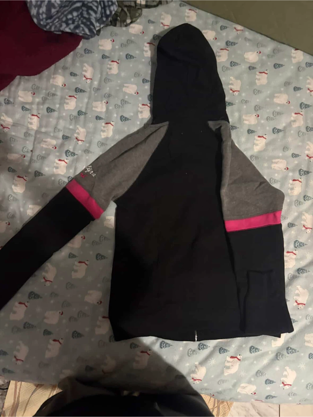Hollister Full Zip Hoodie - photo 2