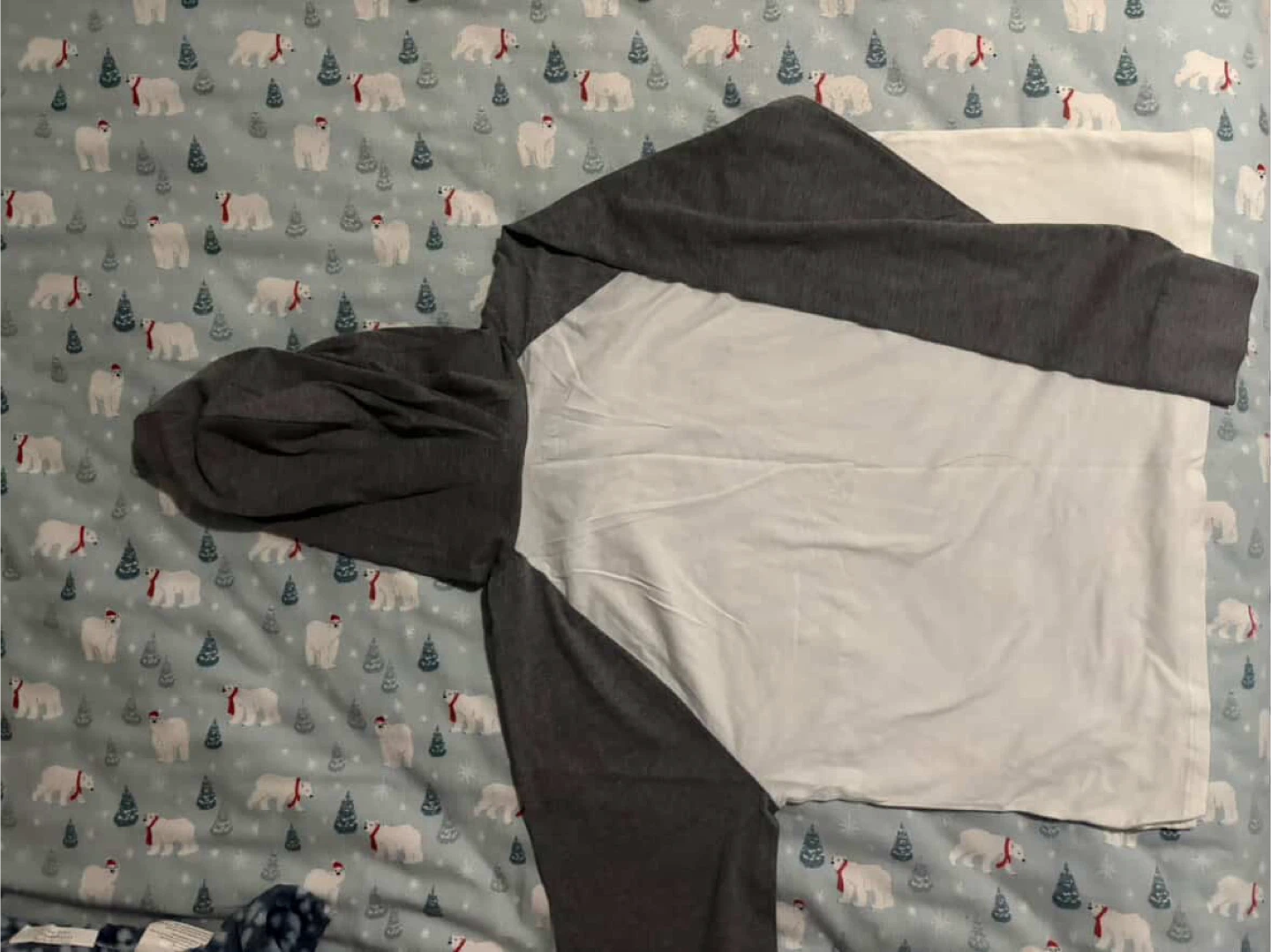 Hollister Raglan Hoodie White/Gray Size Large - photo 2