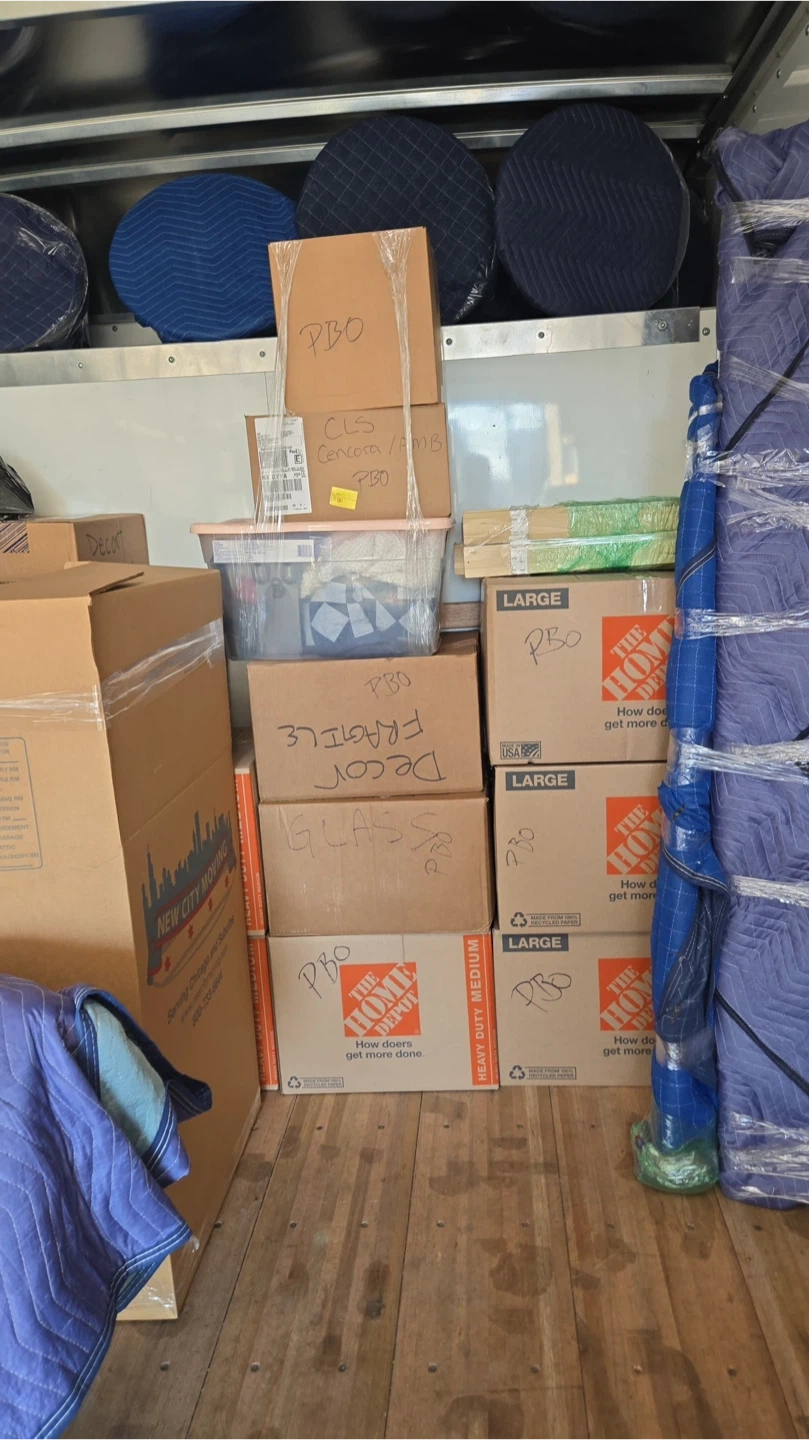 Assorted Moving