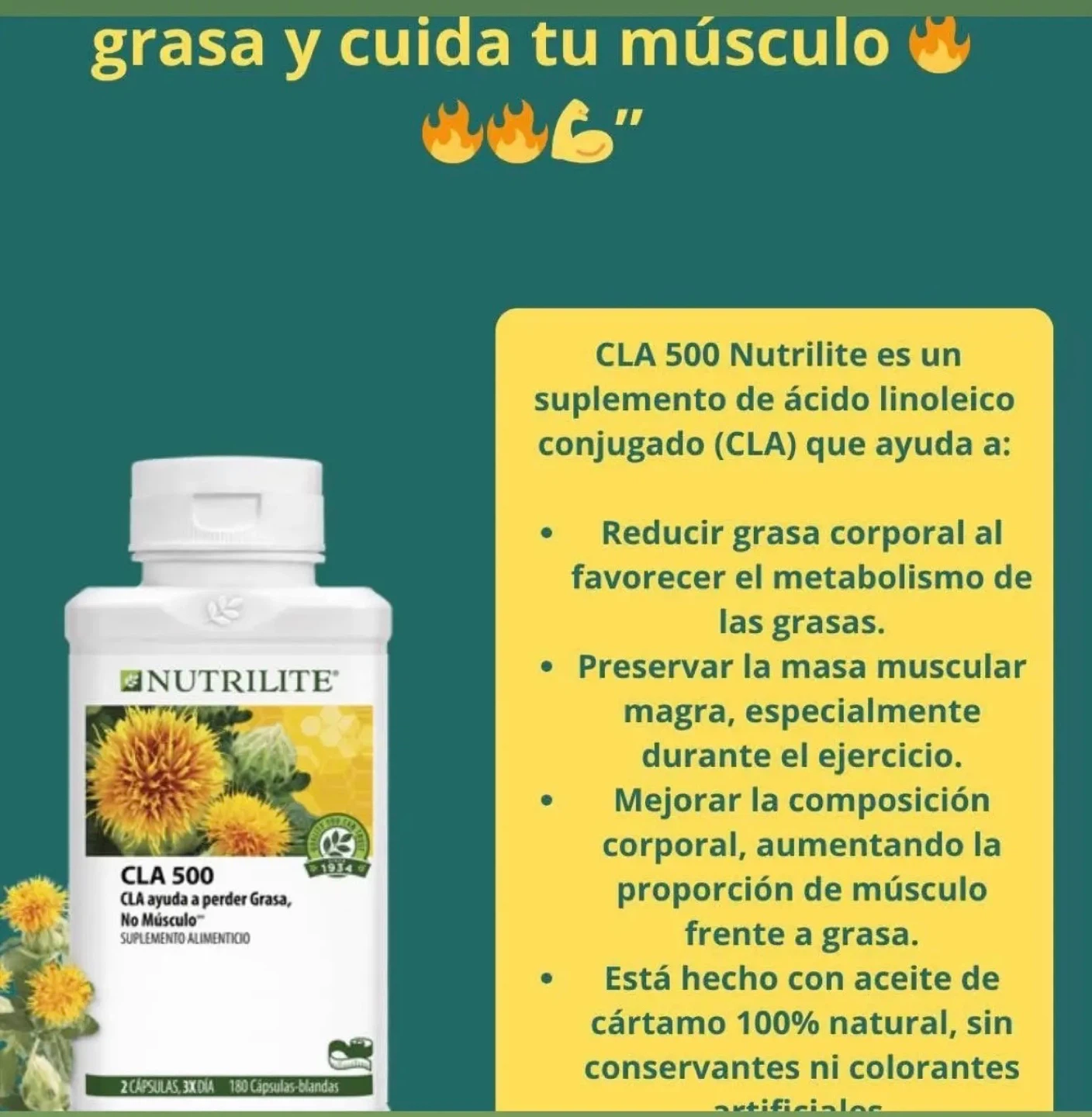 Nutrilite Advanced Omega Dietary Supplement