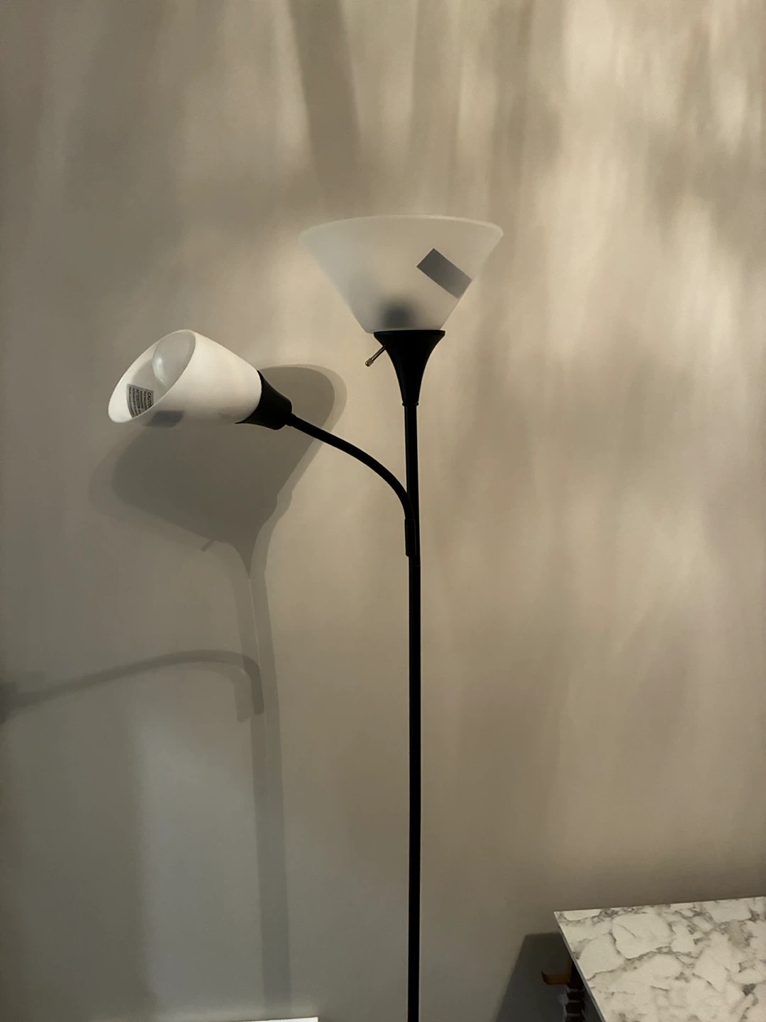 2 Black Floor Lamps