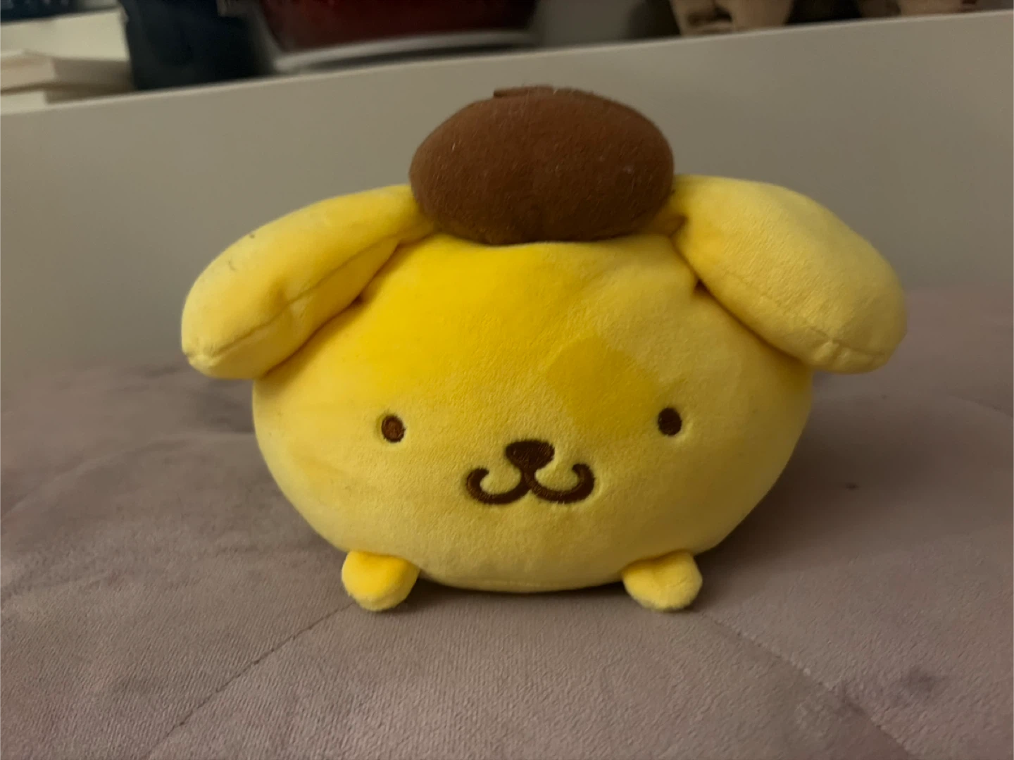 Sanrio Pompompurin Plush Toy from Japan