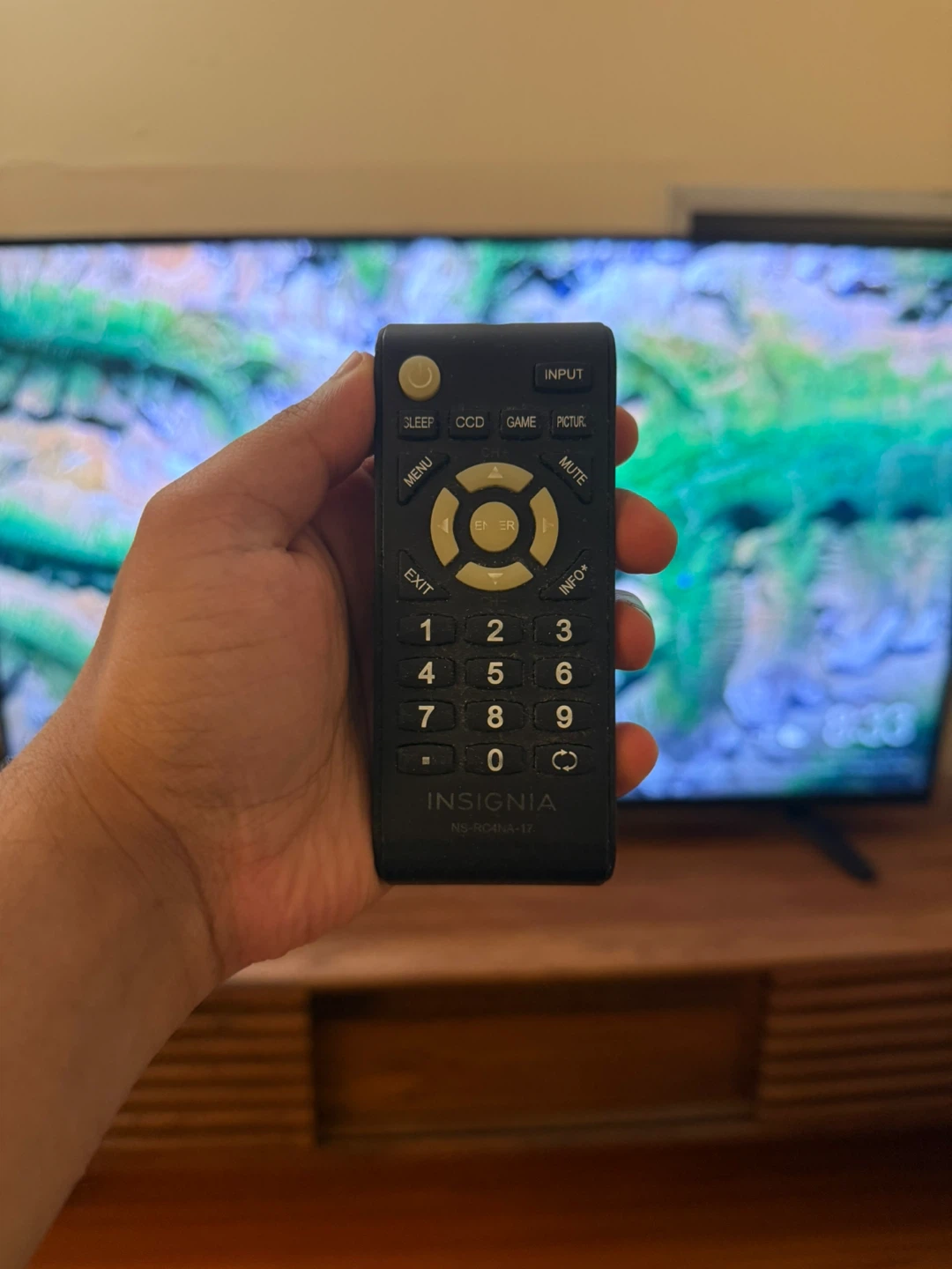 Insignia TV 48 inches - photo 4
