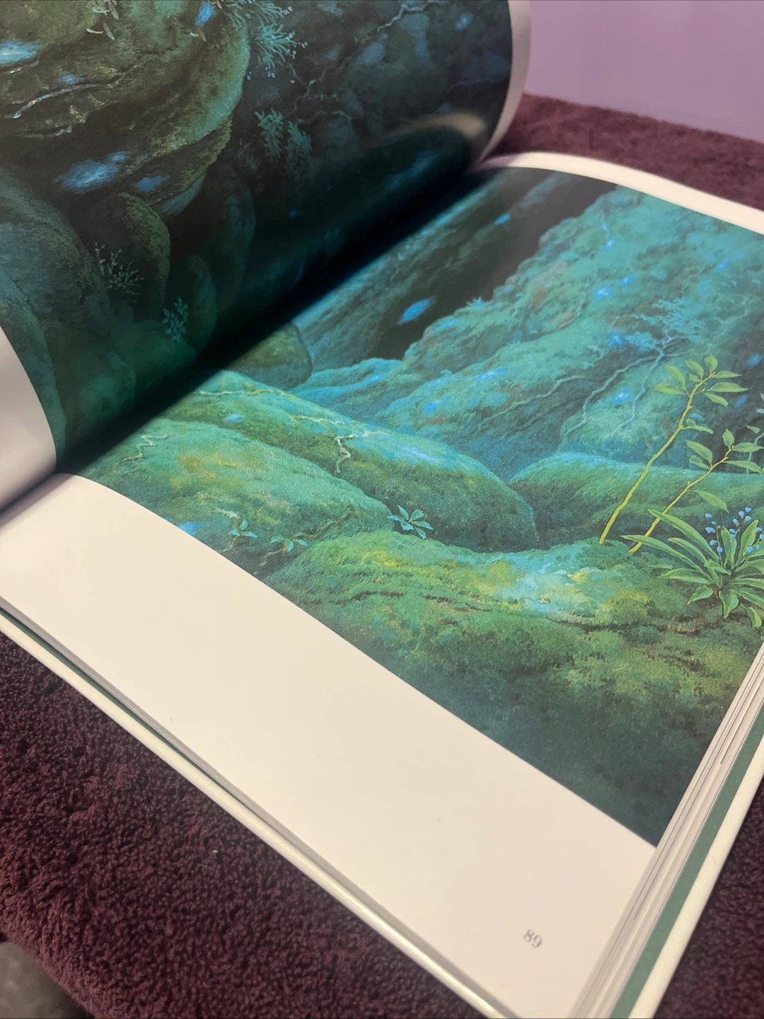 The Art of Princess Mononoke Book - photo 5