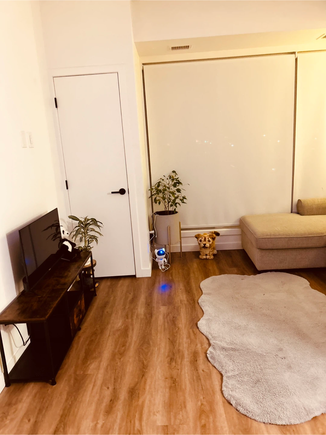 Room for Rental