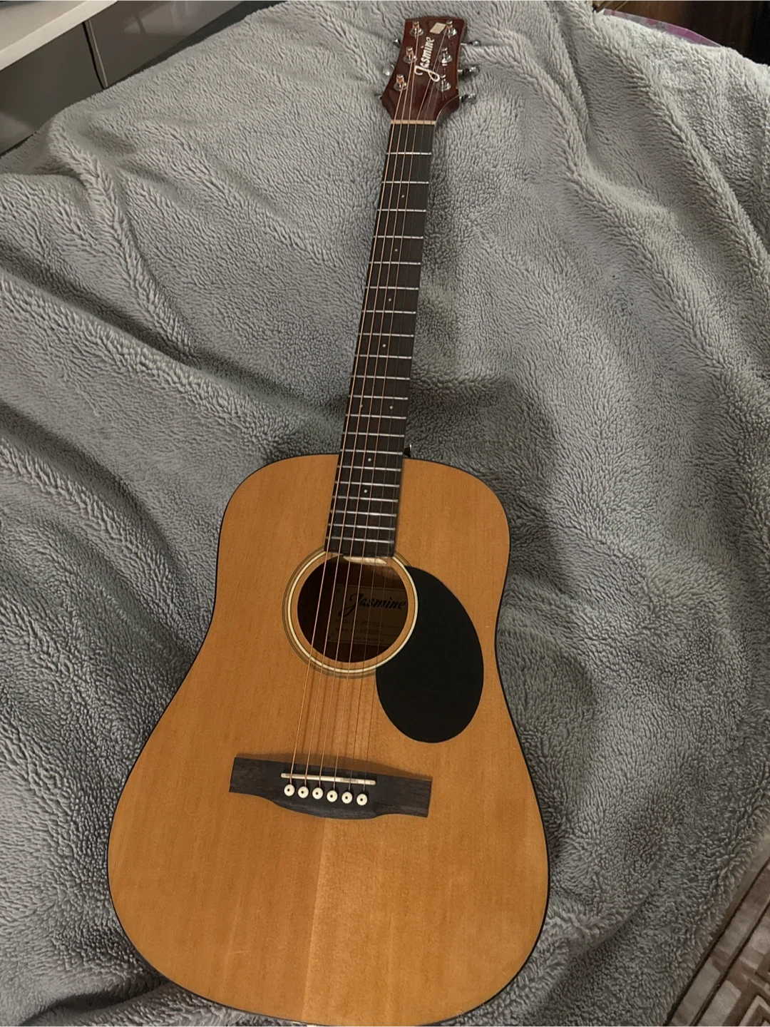 Jasmine Acoustic Guitar