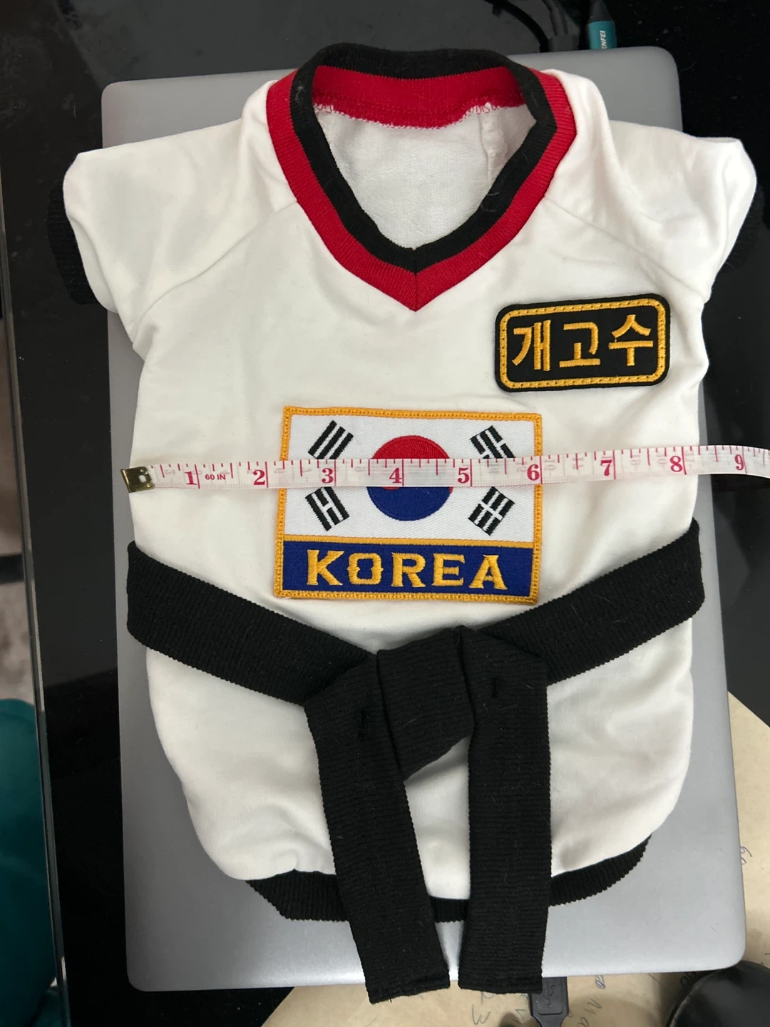 White Taekwondo Dog Costume