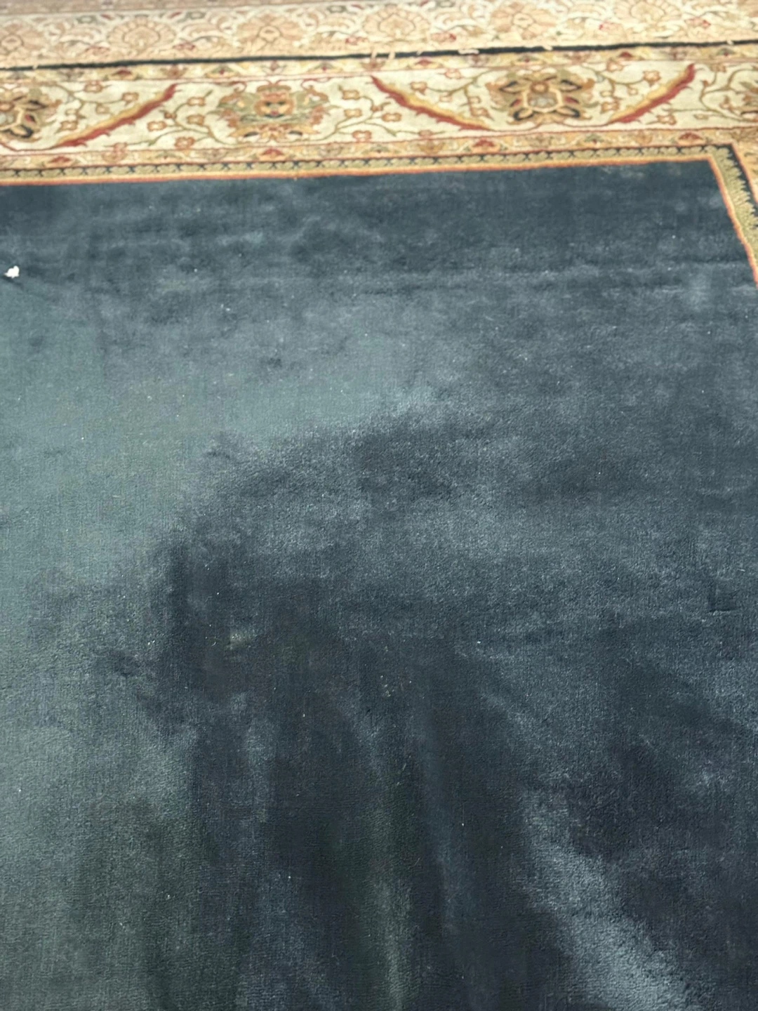 Area Rug with Traditional Border - photo 2