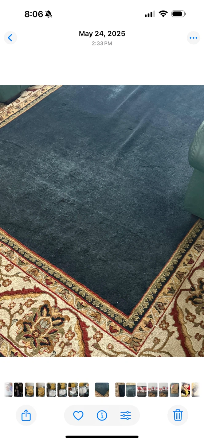 Area Rug with Traditional Border