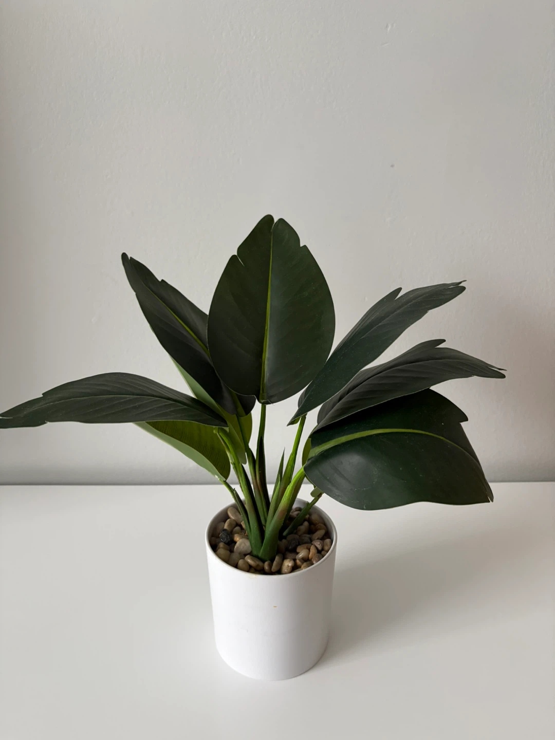 Take All 4 Artificial Plants & 2 Vases. $10 only. - photo 5