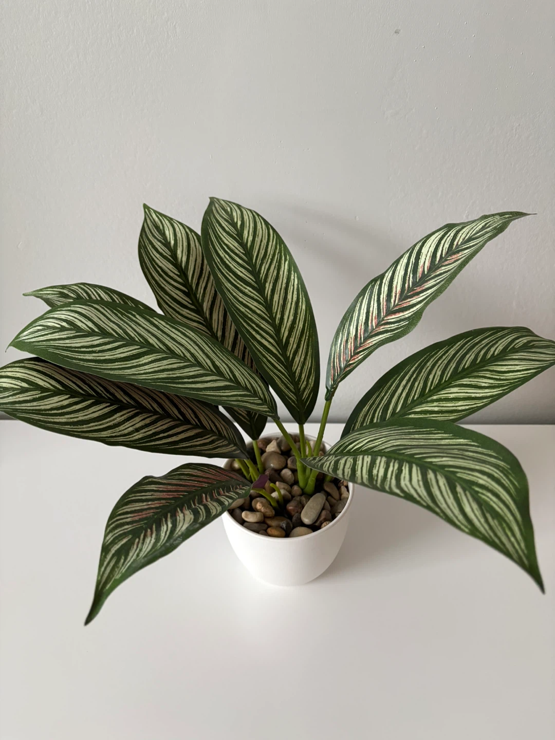 Take All 4 Artificial Plants & 2 Vases. $10 only. - photo 4