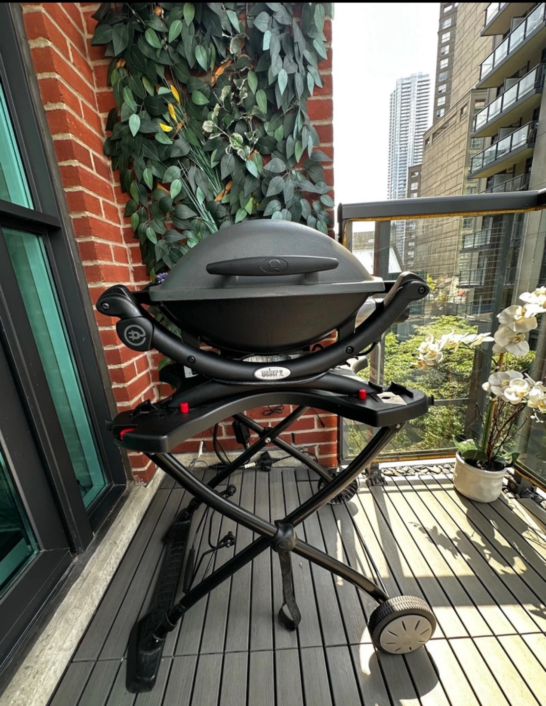 Weber Q Portable Grill - photo 3