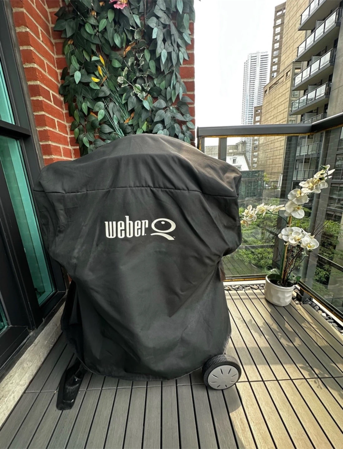 Weber Q Portable Grill - photo 2