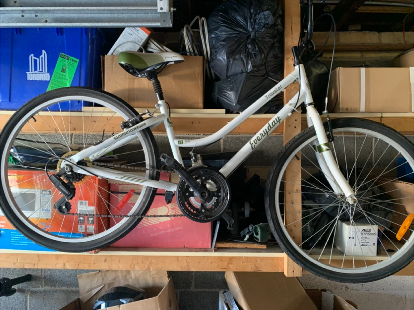 Everyday Traveler Women's Bike