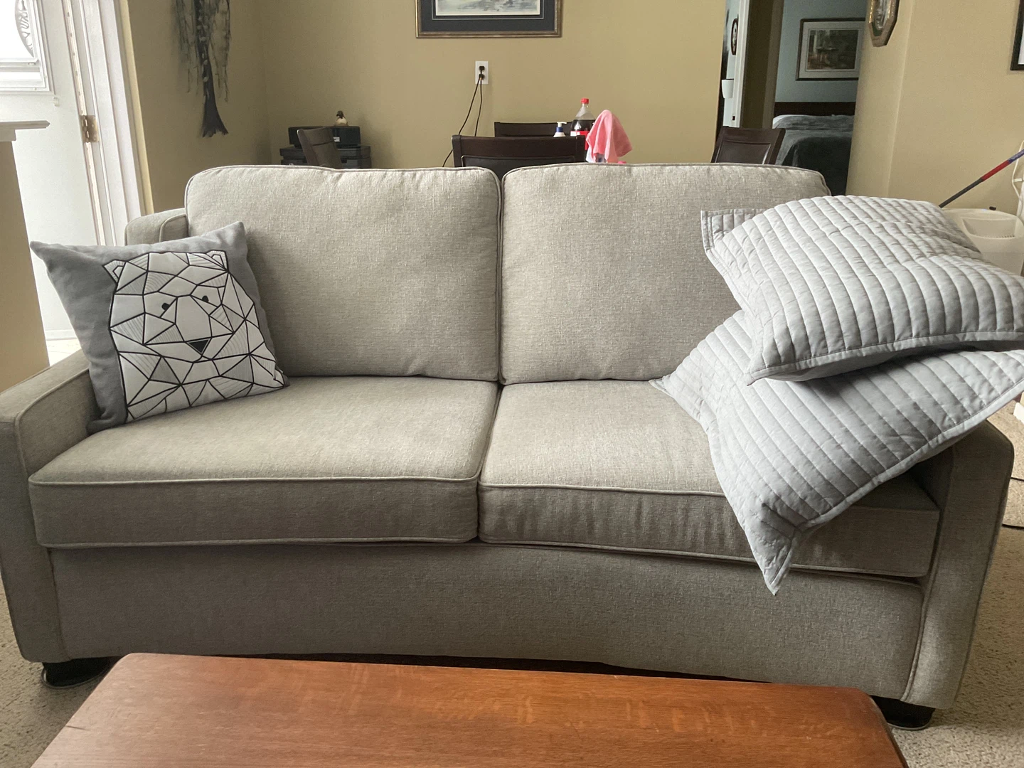Light Grey condo Sofa