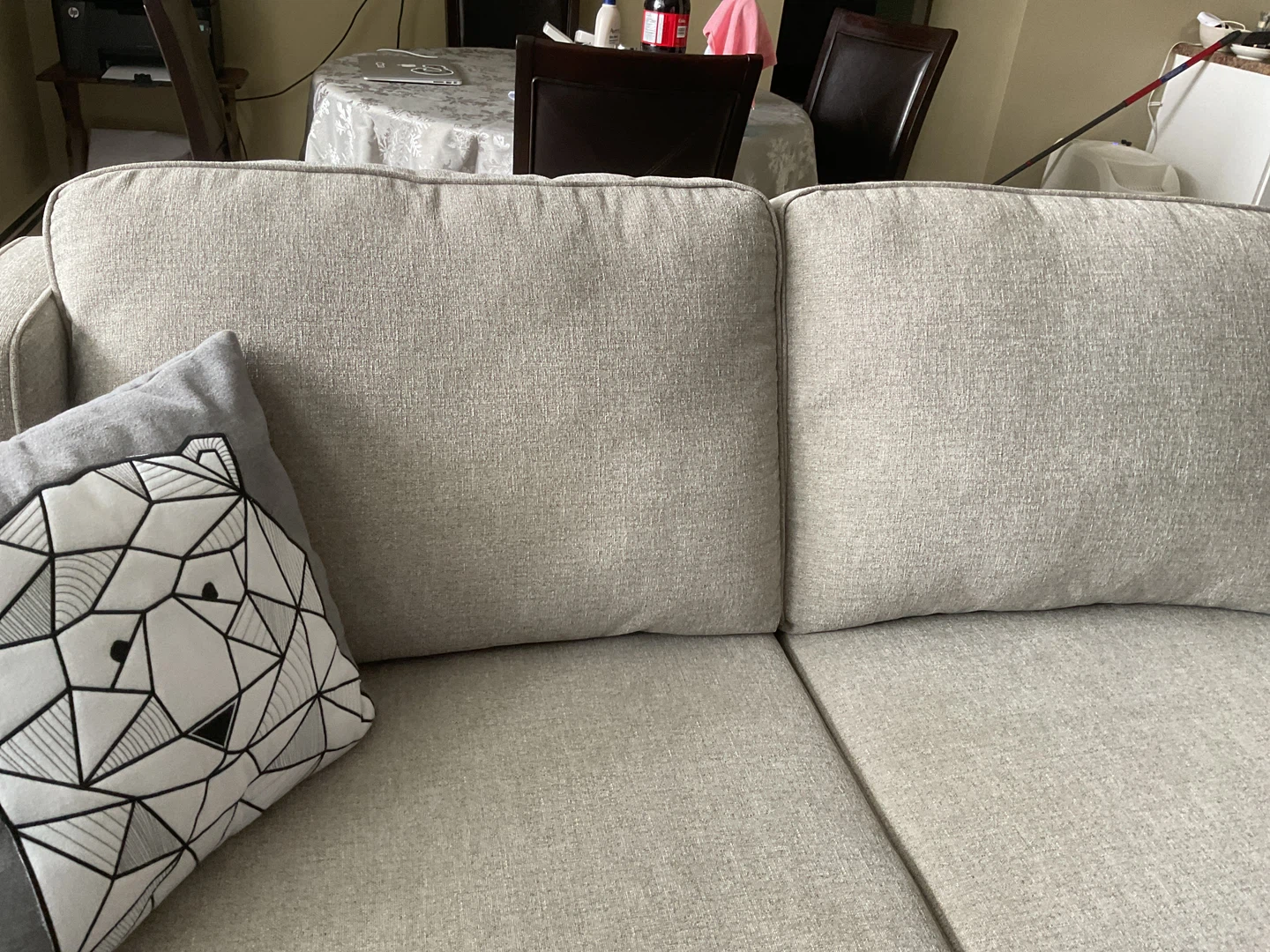 Light Grey condo Sofa - photo 3