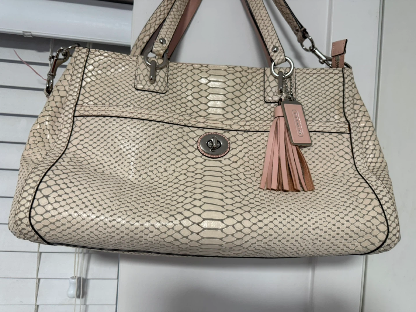 Coach Snakeskin Embossed Leather Handbag