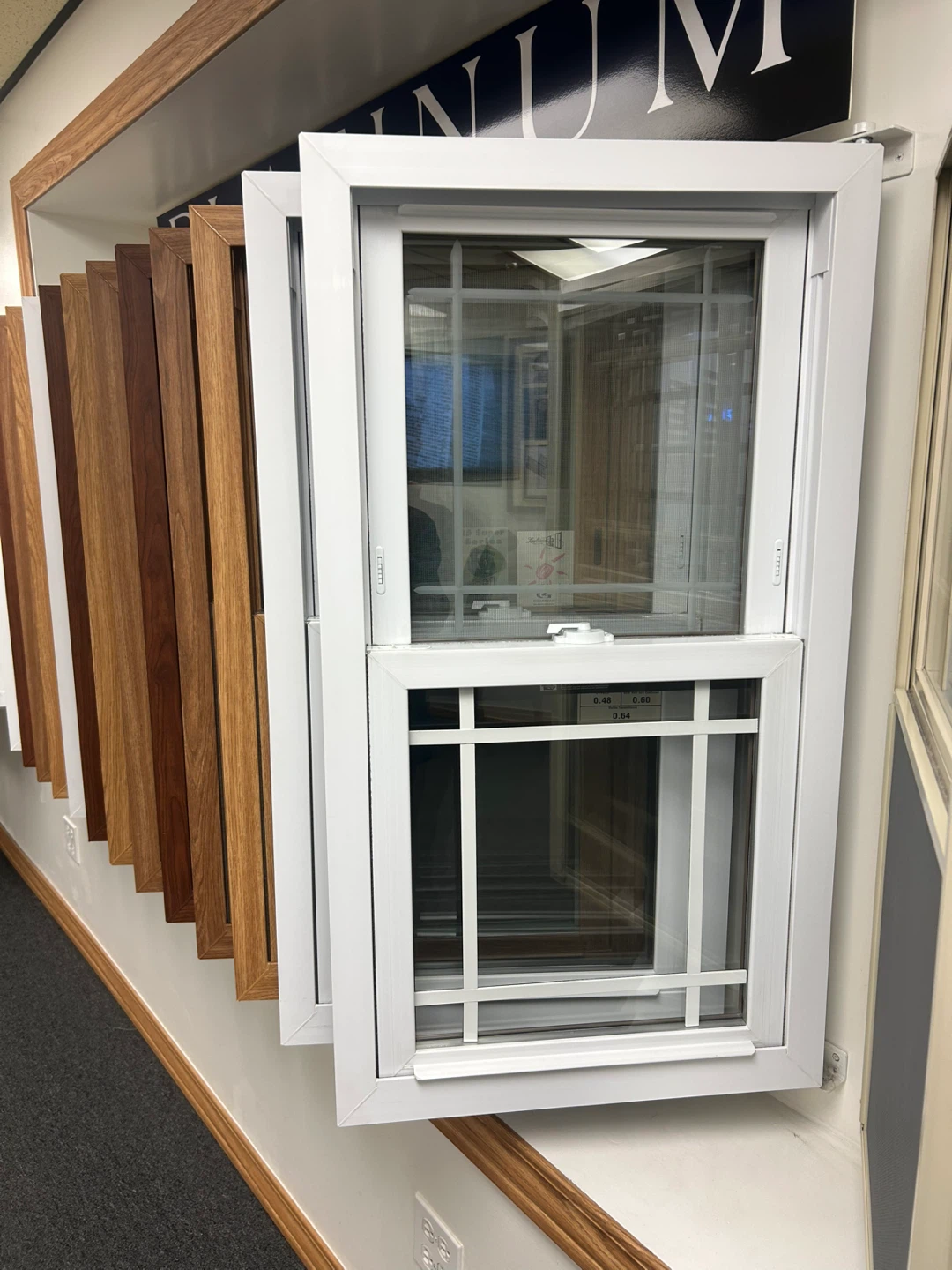 Windows & Doors