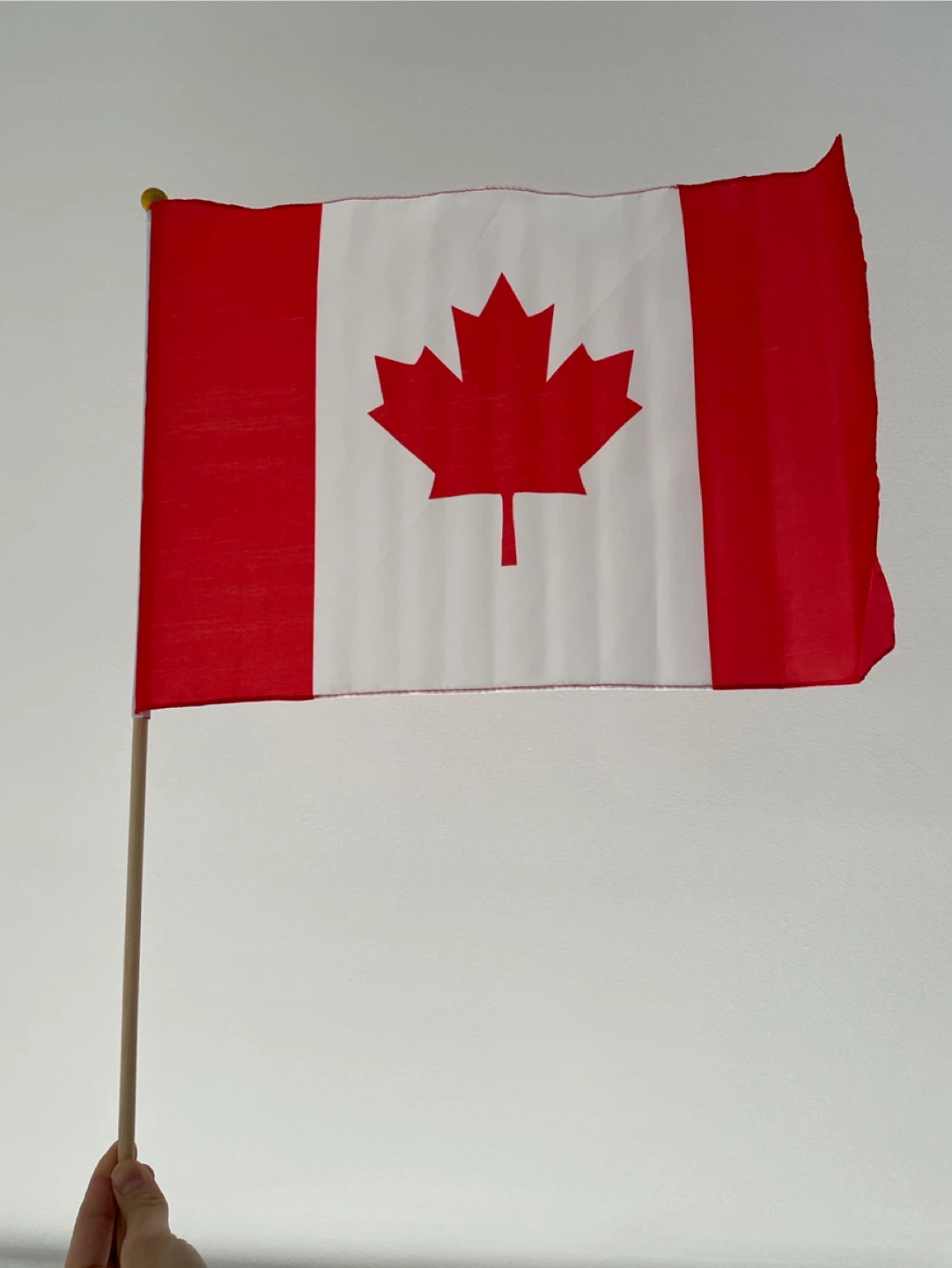 Canada Souvenir Handheld Flag