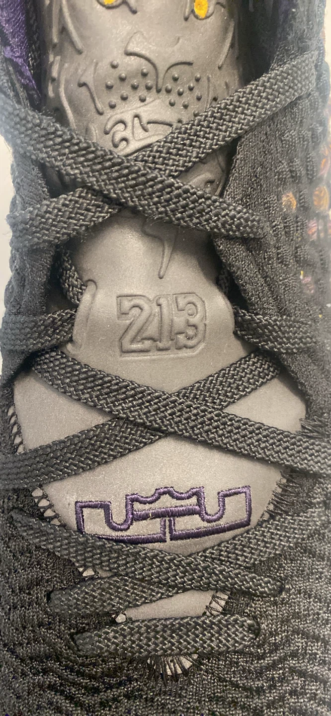 Nike LeBron 17 "Courage" Basketball Shoes