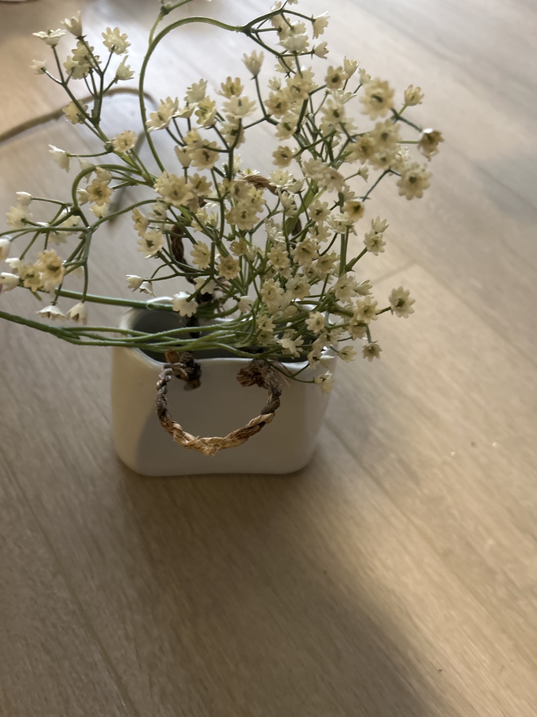White Ceramic Bag Planter with Rope Handles - photo 2