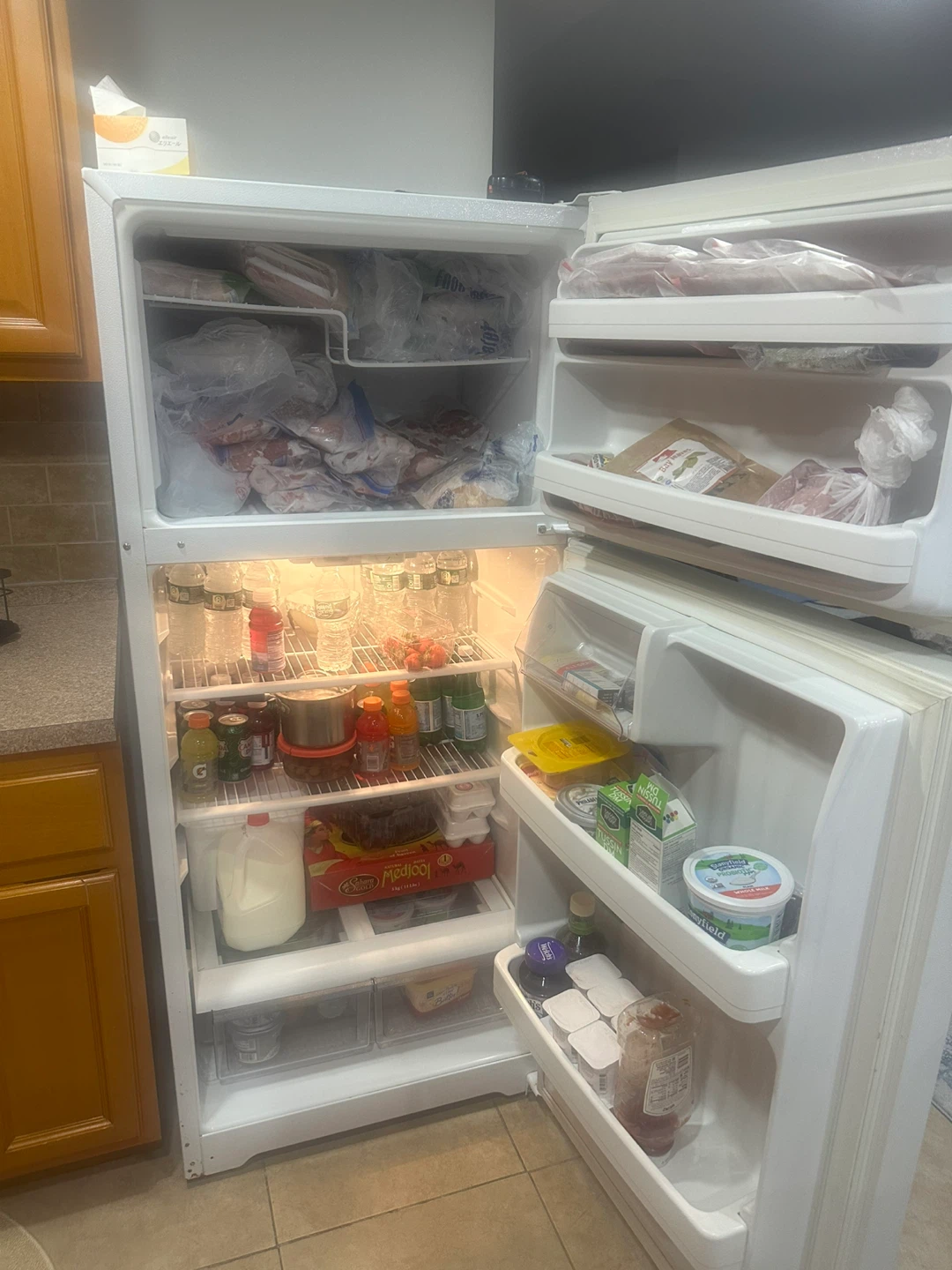 GE Refrigerator Freezer GTH17DBC2RWW - photo 3