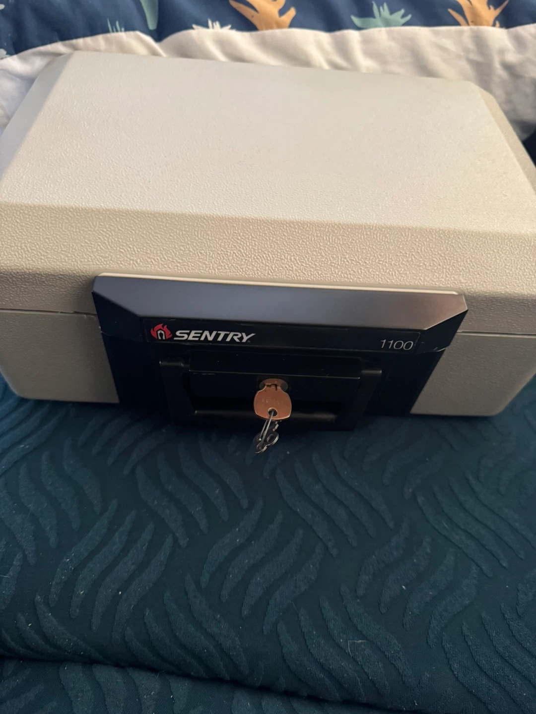 Sentry Fireproof Safe Box 1100