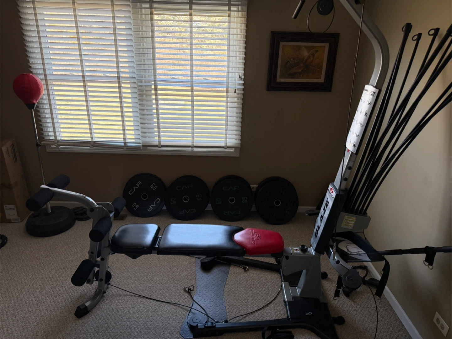 Bowflex Blaze Home Gym - photo 3