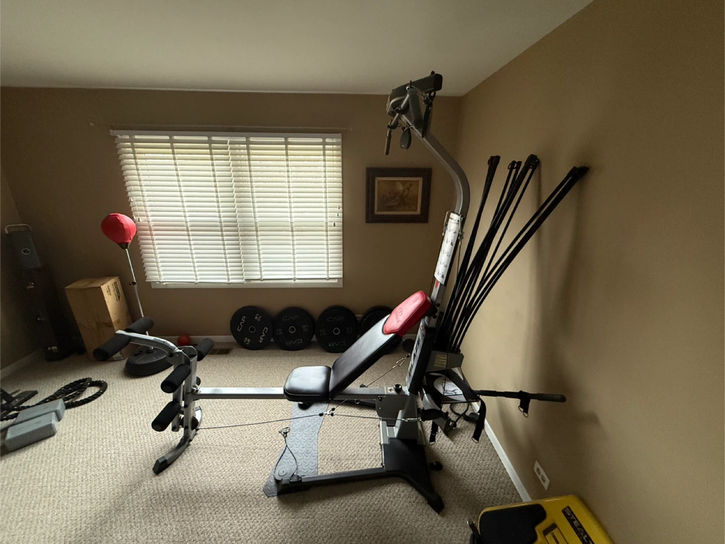 Bowflex Blaze Home Gym - photo 2
