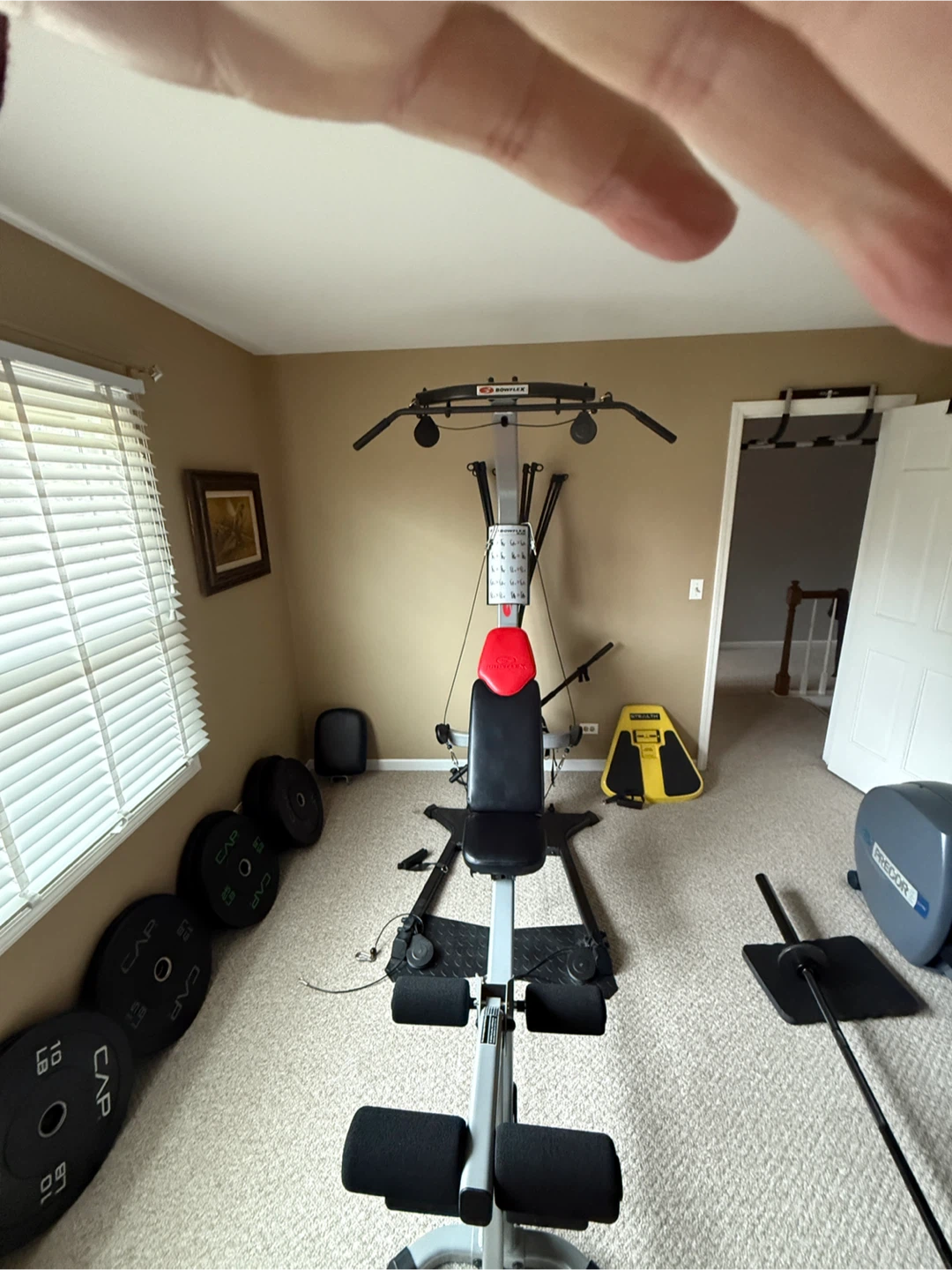 Bowflex Blaze Home Gym