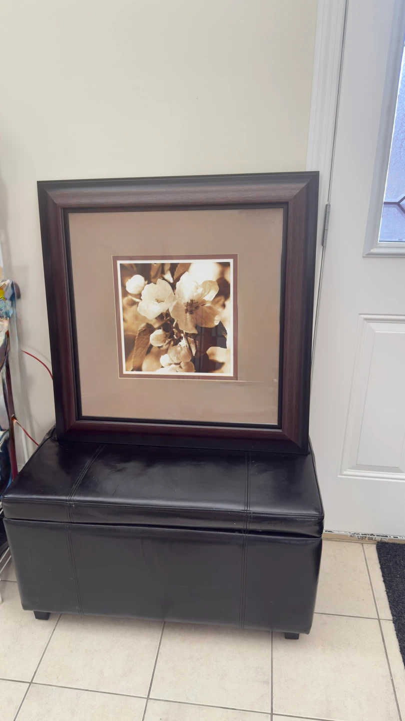 Framed Floral Artwork