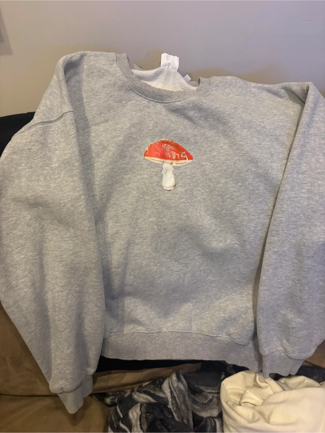 Aritzia mushroom crewneck