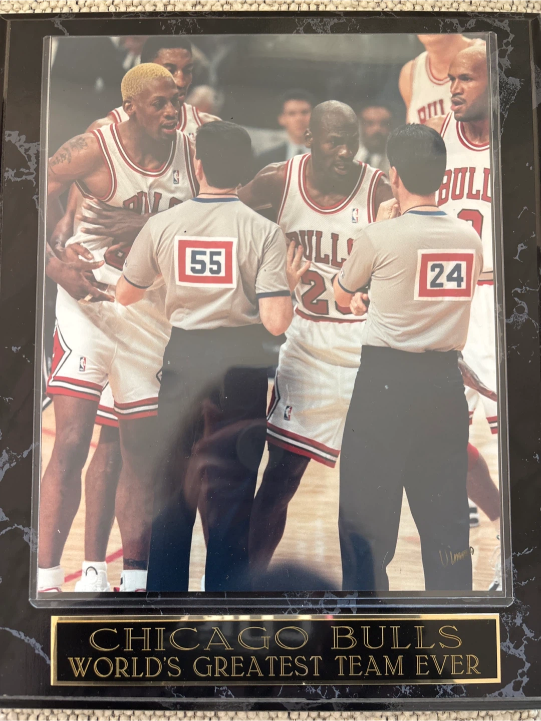 Chicago Bulls "World's Greatest Team Ever" Framed Photo