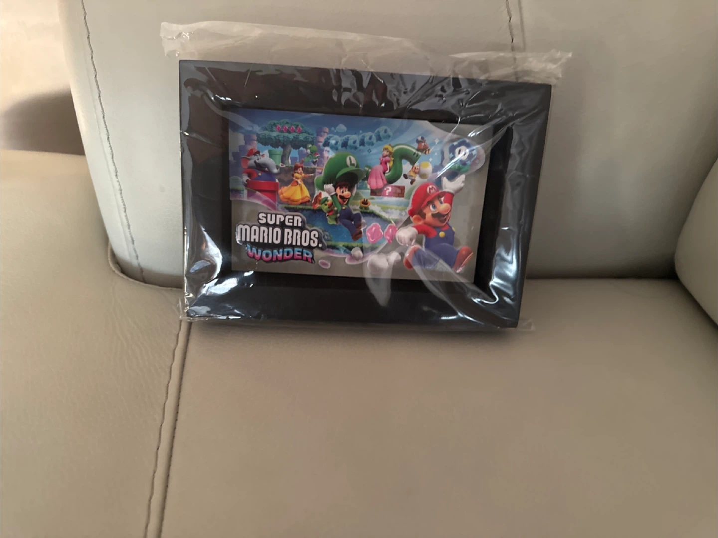 Super Mario Bros. Wonder Shadow Box - photo 2