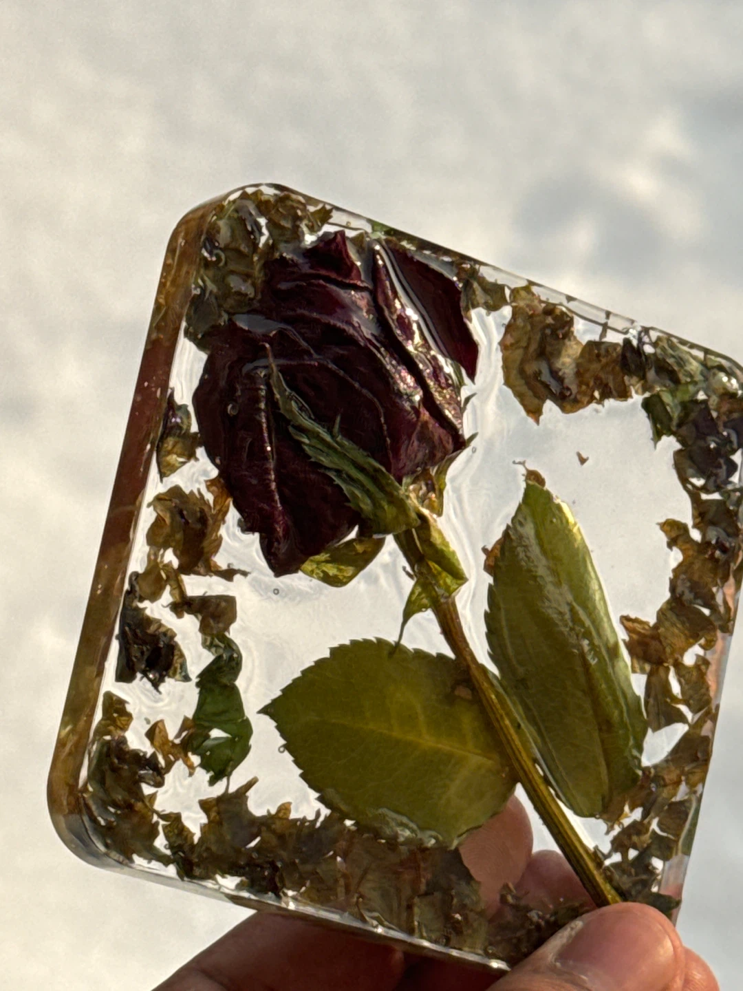 Preserved Rose and Foliage Resin Coaster - photo 2
